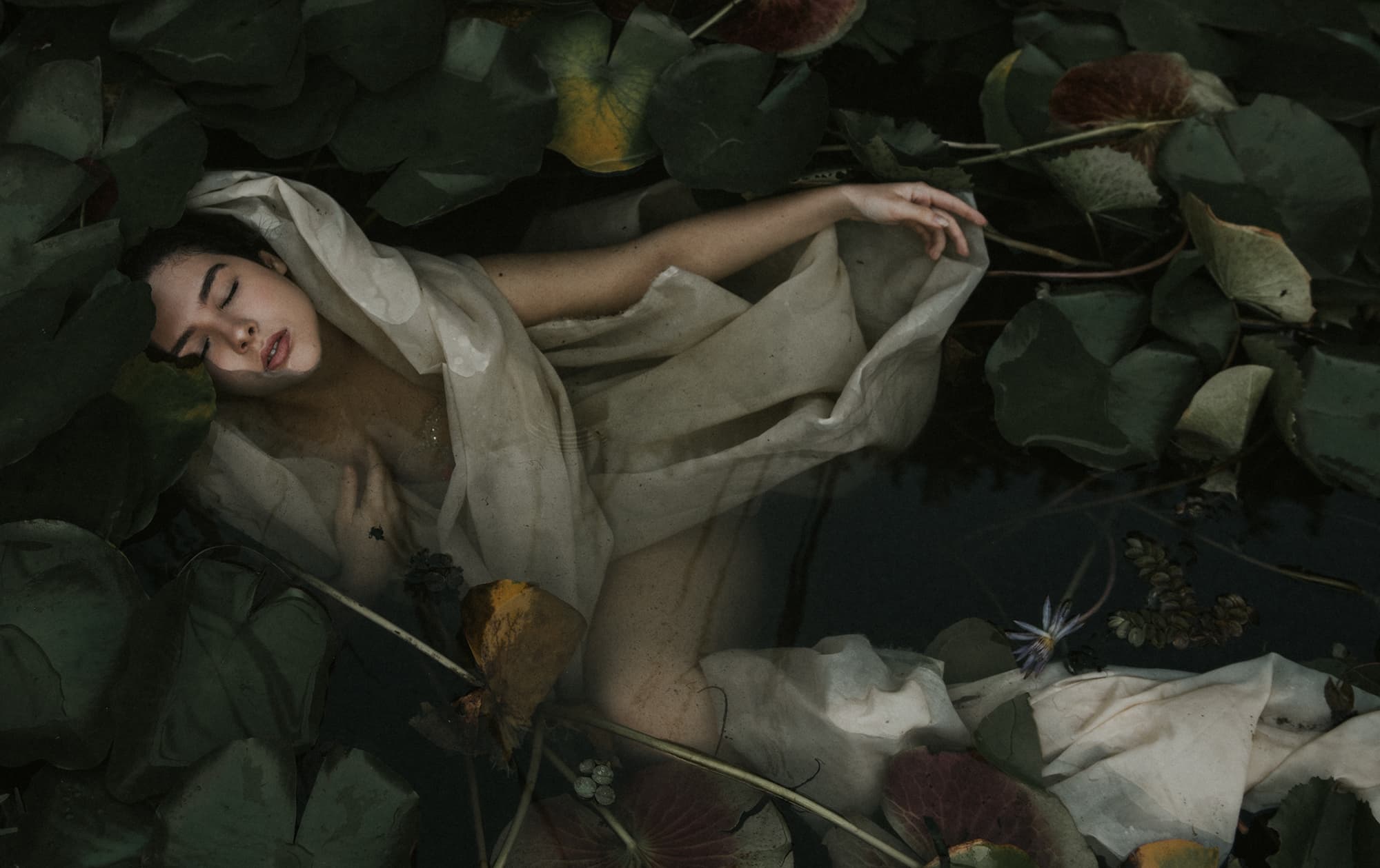 Hero Background - Editorial Photography