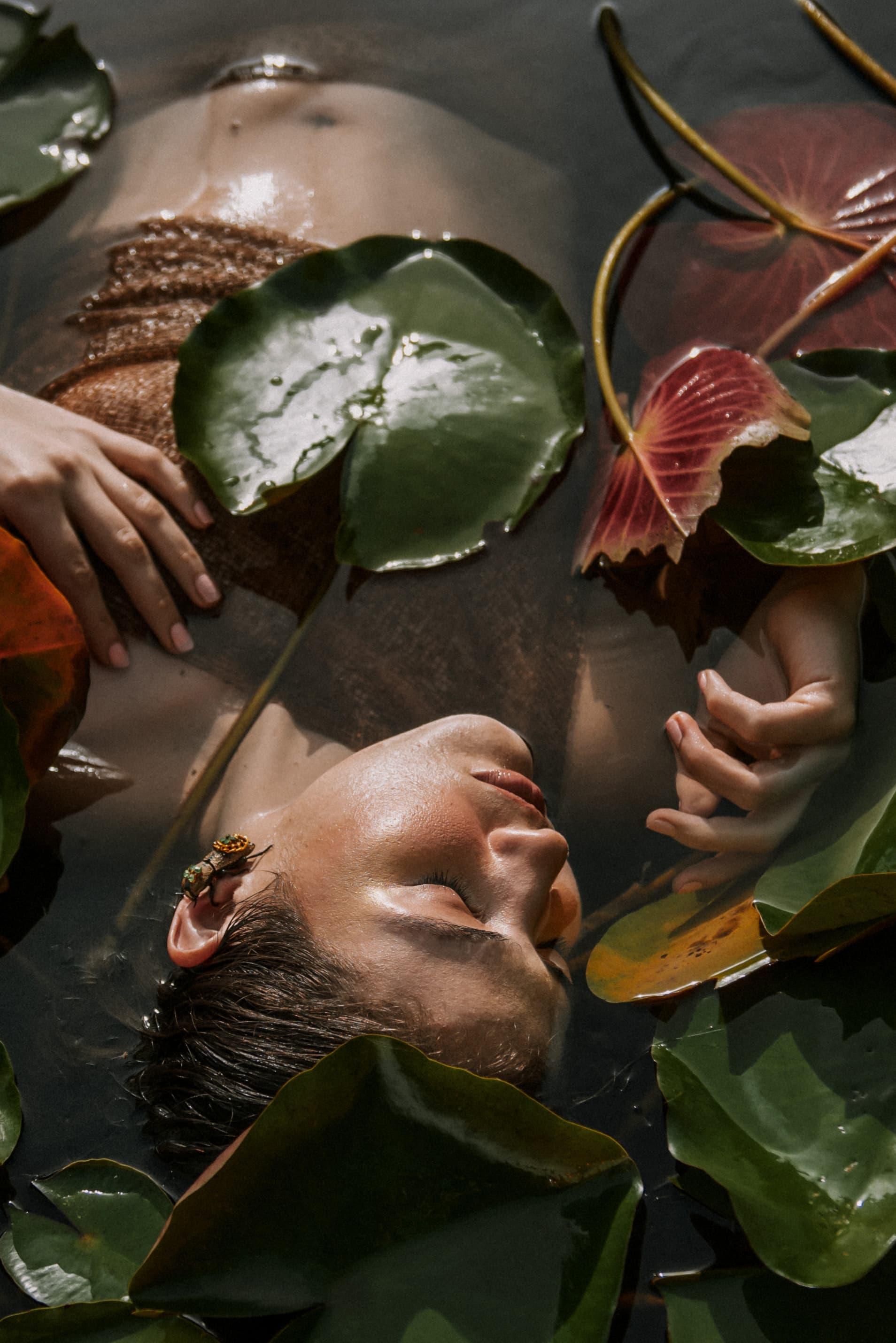 Estudio de Luz Clásica